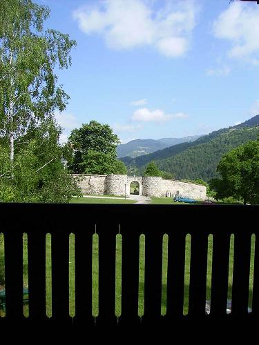 ����������� ���� 2010